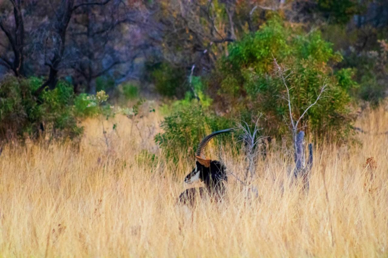 Fumani Game Lodge موديمول المظهر الخارجي الصورة